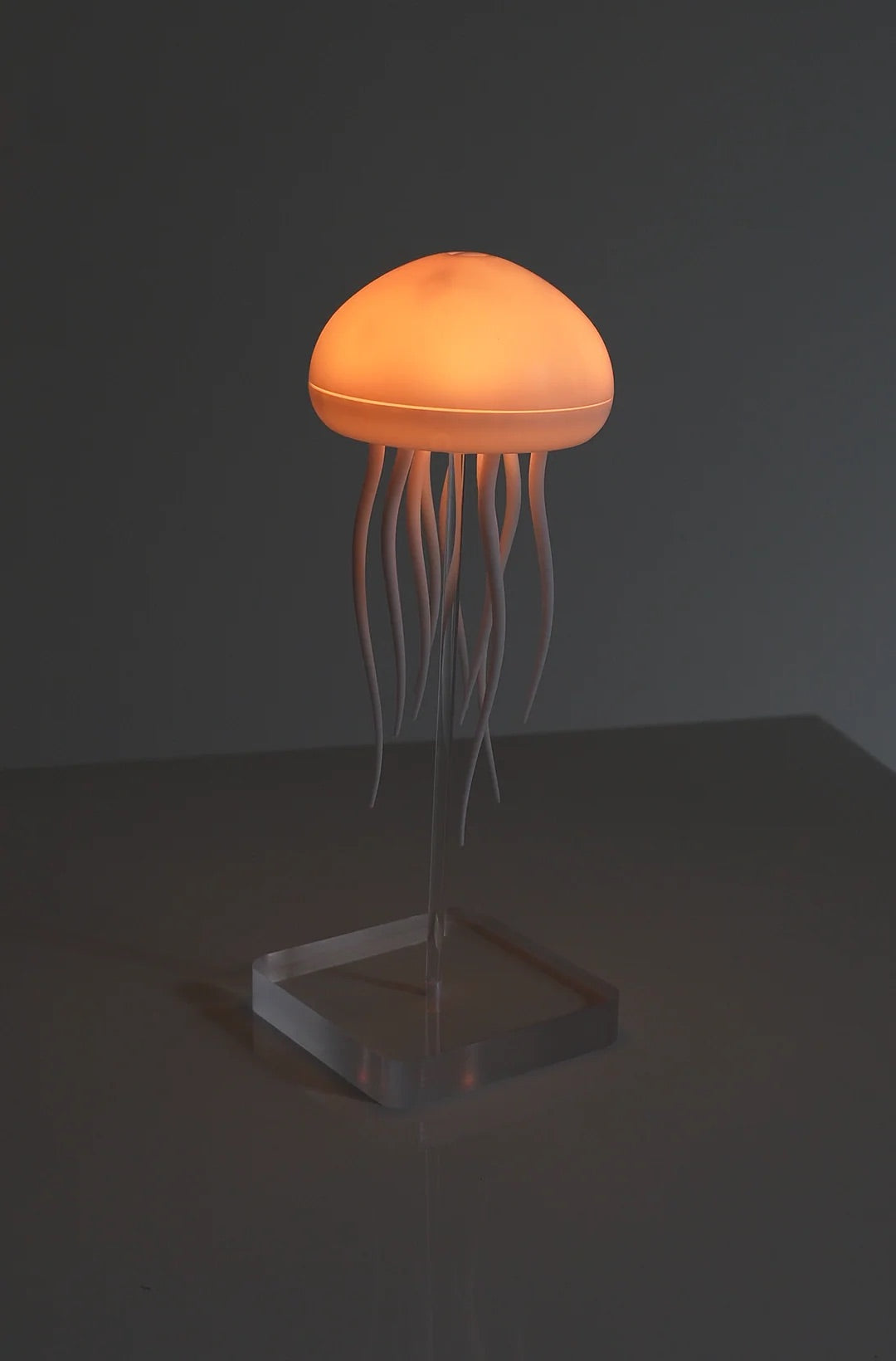 Jellyfish Lamp — Livoa™