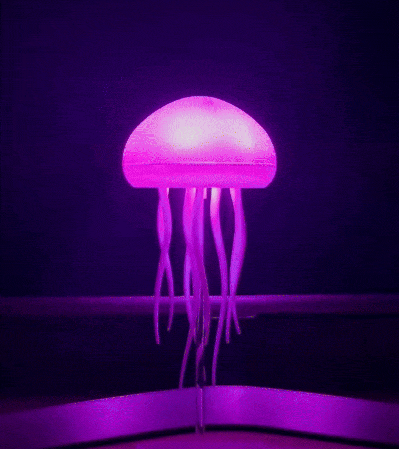 Create a <strong>Calm Environment</strong> at Home